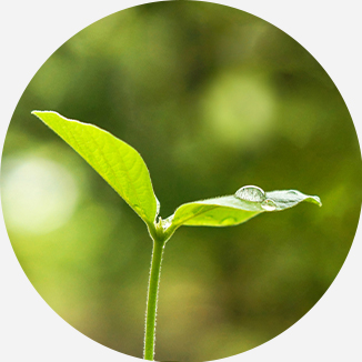 社會(huì)責(zé)任